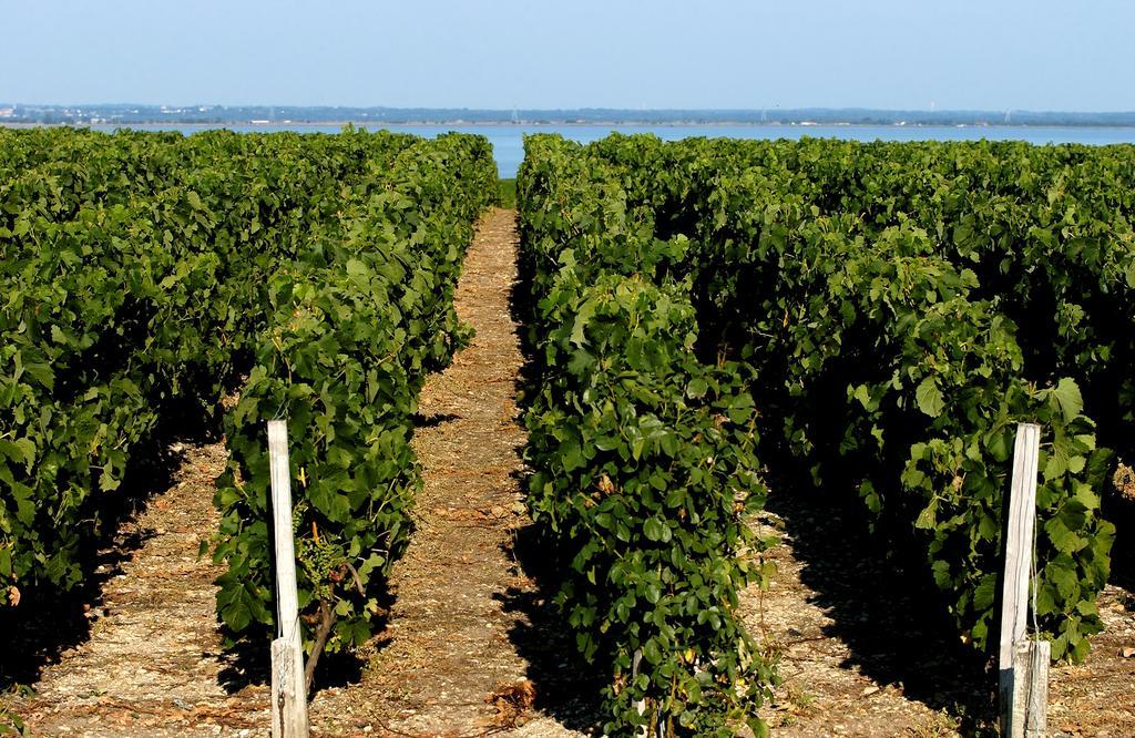 Vvf Soulac-Sur-Mer Bordeaux Medoc Exteriör bild